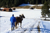 ID: 209: Winterurlaub Bayern 2009 / Winter vacation Bavaria 2009