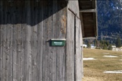 ID: 209: Winterurlaub Bayern 2009 / Winter vacation Bavaria 2009