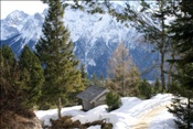ID: 209: Winterurlaub Bayern 2009 / Winter vacation Bavaria 2009