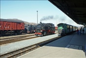ID: 209: Erster Besuch nach Wiedereroeffnung / Weisseritztalbahn / April 2009