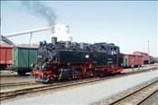 ID: 209: Erster Besuch nach Wiedereroeffnung / Weisseritztalbahn / April 2009