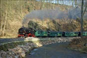 ID: 209: Erster Besuch nach Wiedereroeffnung / Weisseritztalbahn / April 2009