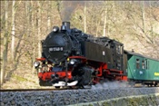 ID: 209: Erster Besuch nach Wiedereroeffnung / Weisseritztalbahn / April 2009