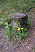 ID: 209: Himmelfahrtsurlaub 2009 in der Eifel / Ascension Day vacation in the Eifel area 2009
