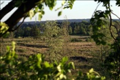 ID: 209: Himmelfahrtsurlaub 2009 in der Eifel / Ascension Day vacation in the Eifel area 2009