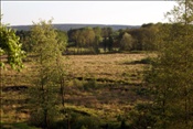 ID: 209: Himmelfahrtsurlaub 2009 in der Eifel / Ascension Day vacation in the Eifel area 2009