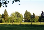 ID: 209: Himmelfahrtsurlaub 2009 in der Eifel / Ascension Day vacation in the Eifel area 2009