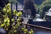 ID: 209: Himmelfahrtsurlaub 2009 in der Eifel / Ascension Day vacation in the Eifel area 2009
