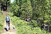 ID: 209: Himmelfahrtsurlaub 2009 in der Eifel / Ascension Day vacation in the Eifel area 2009