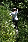 ID: 209: Himmelfahrtsurlaub 2009 in der Eifel / Ascension Day vacation in the Eifel area 2009