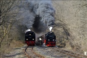 ID: 209: DR 99 6001-4 + DR 99 7232-4 / Eisfelder Talmuehle / 24.04.2010