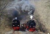 ID: 209: DR 99 6001-4 + DR 99 7232-4 / Eisfelder Talmuehle / 24.04.2010