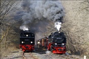 ID: 209: DR 99 6001-4 + DR 99 7232-4 / Eisfelder Talmuehle / 24.04.2010