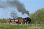 ID: 209: DR 99 6001-4 / Gernrode / 24.04.2010