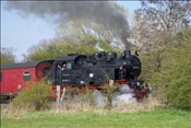 ID: 209: DR 99 6001-4 / Gernrode / 24.04.2010