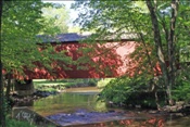Foto SP_2010_05122: Covered Bridge / Chalfont, PA / 05.05.2010