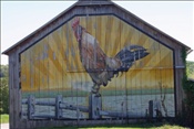 Foto SP_2010_05127: Chicken Farm / West Hempfield, PA / 05.05.2010