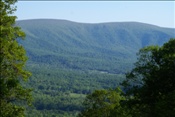 Foto SP_2010_05132: Shenandoah National Park / Luray, VA / 05.05.2010