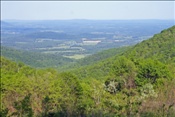 Foto SP_2010_05133: Shenandoah National Park / Luray, VA / 05.05.2010
