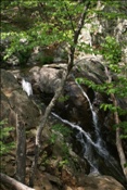 Foto SP_2010_05185: Shenandoah National Park / Luray, VA / 06.05.2010