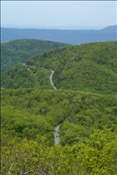 ID: 209: Shenandoah National Park / Luray, VA / 07.05.2010