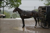 ID: 209: Reisen / USA / Sommer 2010