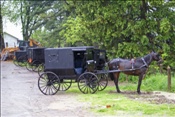 ID: 209: Reisen / USA / Sommer 2010