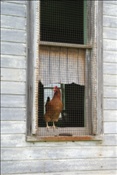 ID: 209: Reisen / USA / Sommer 2010