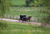 ID: 209: Reisen / USA / Sommer 2010