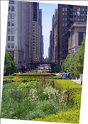 ID: 209: Reisen / USA / Sommer 2010