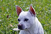 ID: 209: Eckbauer / Garmisch-Partenkirchen / 15.09.2010