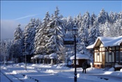 ID: 209: Bahnhof / Drei Annen Hohne / 04.12.2010