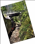 ID: 209: DR 99 731 / Bertsdorf / 01.05.2011