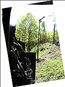 ID: 209: DR 99 731 / Bertsdorf / 01.05.2011