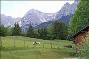 ID: 209: Buckelwiesen / Mittenwald / 14.05.2011