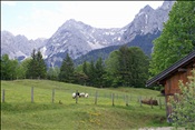 Foto SP_2011_05588: Buckelwiesen / Mittenwald / 14.05.2011