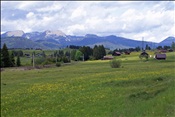 ID: 209: Buckelwiesen / Mittenwald / 14.05.2011