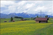 ID: 209: Buckelwiesen / Mittenwald / 14.05.2011