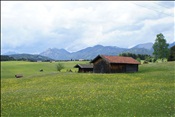 ID: 209: Buckelwiesen / Mittenwald / 14.05.2011