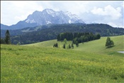 ID: 209: Buckelwiesen / Mittenwald / 14.05.2011