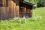 ID: 209: Eckbauer / Garmisch-Partenkirchen / 18.05.2011