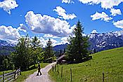 ID: 209: Elmauer Alm / Elmau / 18.05.2011