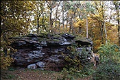 ID: 209: Pfaelzer Huettentour / Albersweiler / 29.10.2011