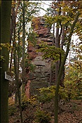 ID: 209: Dahner Rundwanderweg / Dahn / 30.11.2011