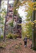 ID: 209: Dahner Rundwanderweg / Dahn / 30.11.2011