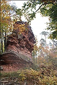 ID: 209: Dahner Rundwanderweg / Dahn / 30.11.2011