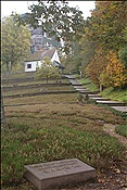 ID: 209: Dahner Rundwanderweg / Dahn / 30.11.2011