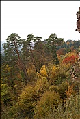 ID: 209: Dahner Rundwanderweg / Dahn / 30.11.2011