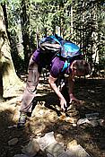 ID: 209: Lam / 26.04.2012