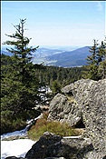 ID: 209: Lam / 26.04.2012